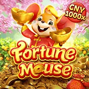 Hình ảnh đại diện cho chính sách cookie và bảo mật dữ liệu của link 555win