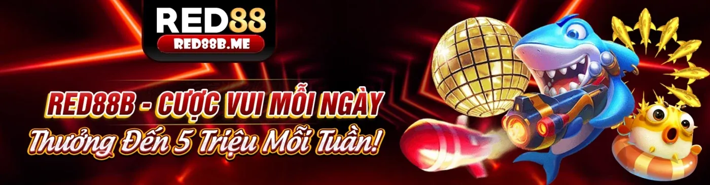 Banner khuyến mãi cá cược thể thao link 555win 2026