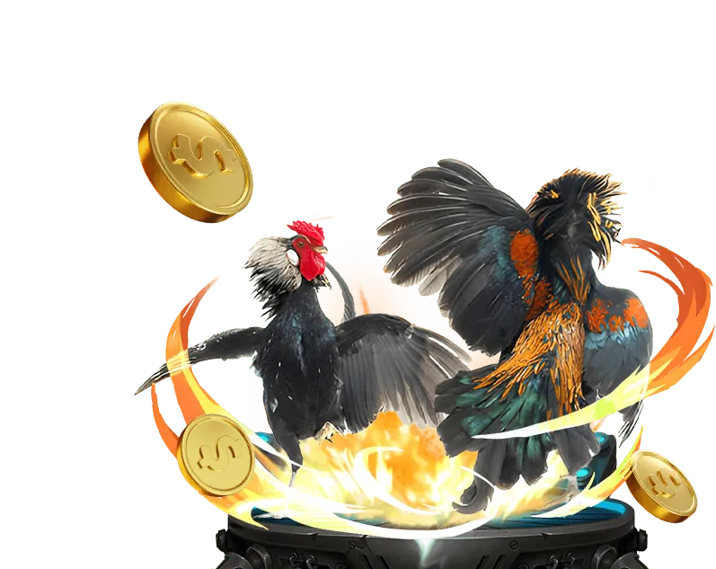 Ưu đãi nạp lại 555win