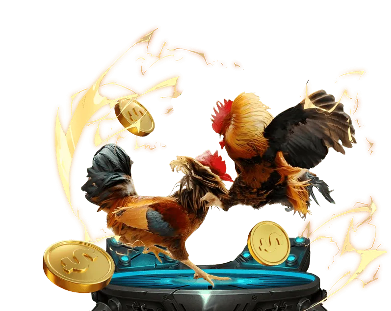 Không đặt cược theo cảm tính